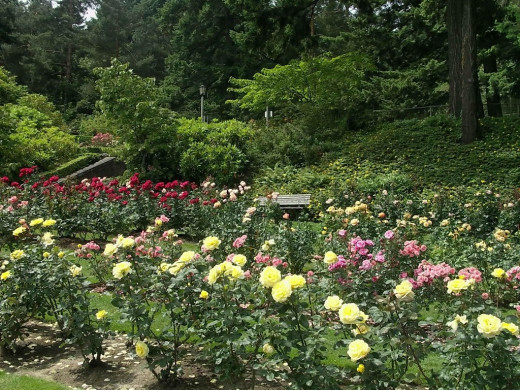 49599 (a): :1024x768